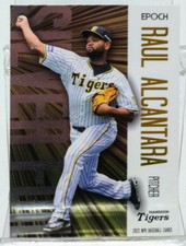 Bulk Purchase Available: Hanshin Tigers' Raul Alcantara