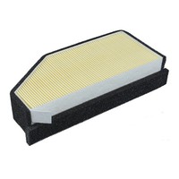 Meiwa Luftfilter (FüR: Bmw K 1200 Rs Abs K41 01-05 )