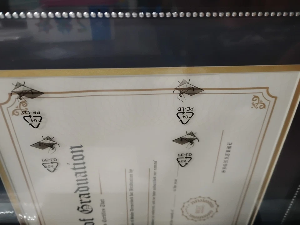 Lote de 2 - Marco Diploma 8.5" x 11" Negro con Cuentas Plateadas Foto 2 de 4