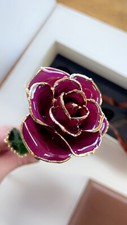 24 K Gold Dipped Rose - Dark Pink