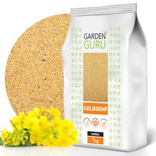 GardenGuru Gelbsenf ganze K&ouml;rner wei&szlig;er Bienenfreundlicher Gr&uuml;nd&uuml;nger 1-25 kg