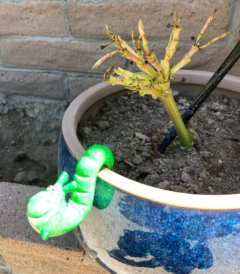 ^POT PEEPERS: NEL THE SNAIL / PLANT POT HUGGERS - NEW OLD STOCK