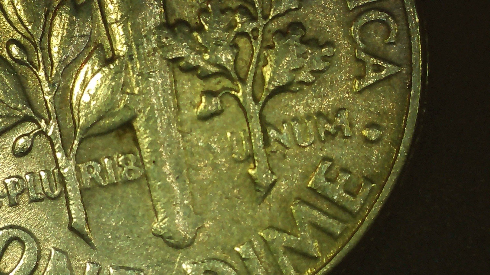 Picture 6 of 6