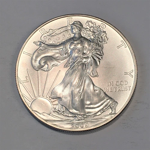 2009 Uncirculated American Silver Eagle US Mint Issue 1oz Pure Silver #N311