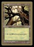 Forest (Skyward) - 1998 Brian Selden (TMP) World Championship Decks MTG LP