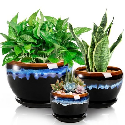3 Pack Ceramic Flower Pots with Drainage, Rustic Planters for Succulents & Herbs