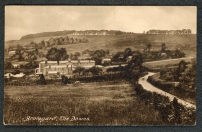 Bromyard The Downs Herefordshire um 1908