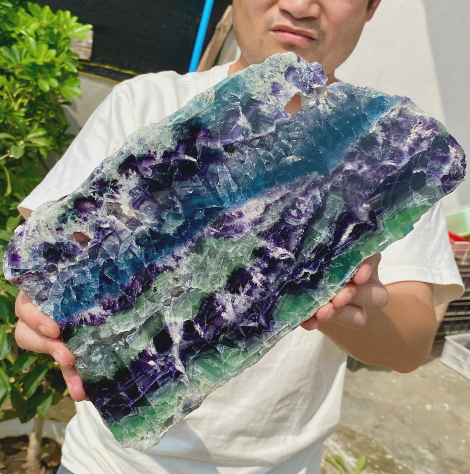 6.3LB Natural Fluorite Quartz Crystal Slab Mineral Specimen