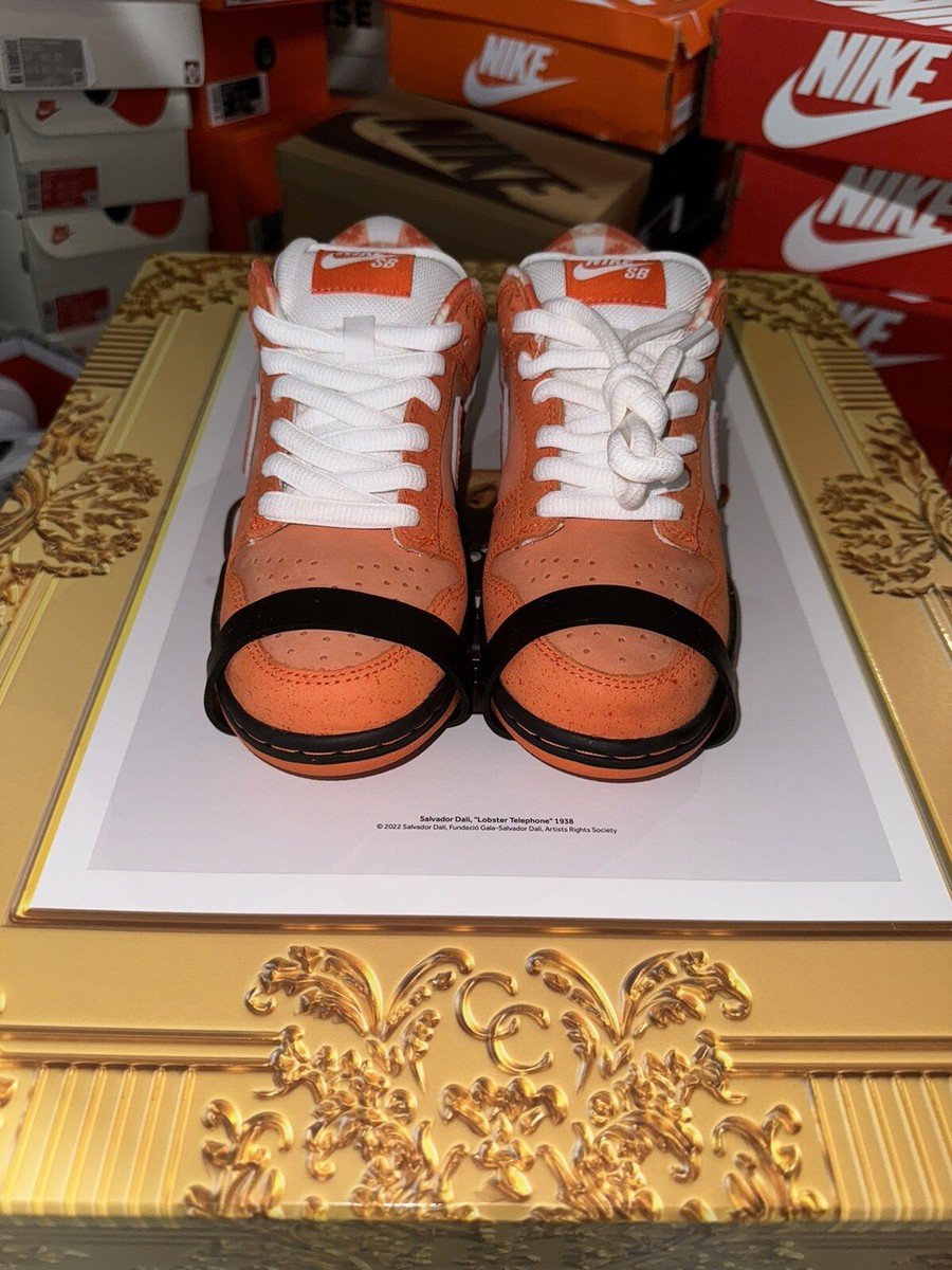 Nike SB Dunk Concepts Orange Lobster SPECIAL BOX Size 4 FD8776-800