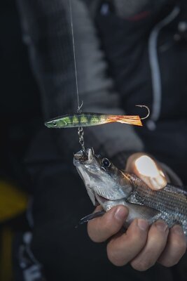 Rapala Jigging Series Jigging Shadow Rap Vertical Jigging Lure - Foto 4