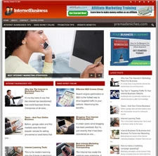 Pre Made Online Business Blog with a Unique Design internet marketing niche
