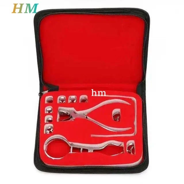 Kit de inicio de presa de goma con marco abrazaderas perforadoras alicates instrumentos de laboratorio dental Foto 2 de 4