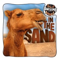 In The Sand | Brenda Mchale | Englisch | Taschenbuch | Kartoniert / Broschiert