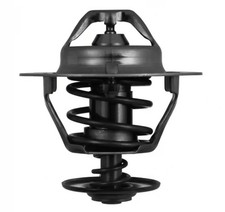 Thermostat Nissan TRADE