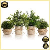 Kunstpflanze Eukalyptus 4 StüCk Deko FüR Wohnzimmer Pflanzenarrangement