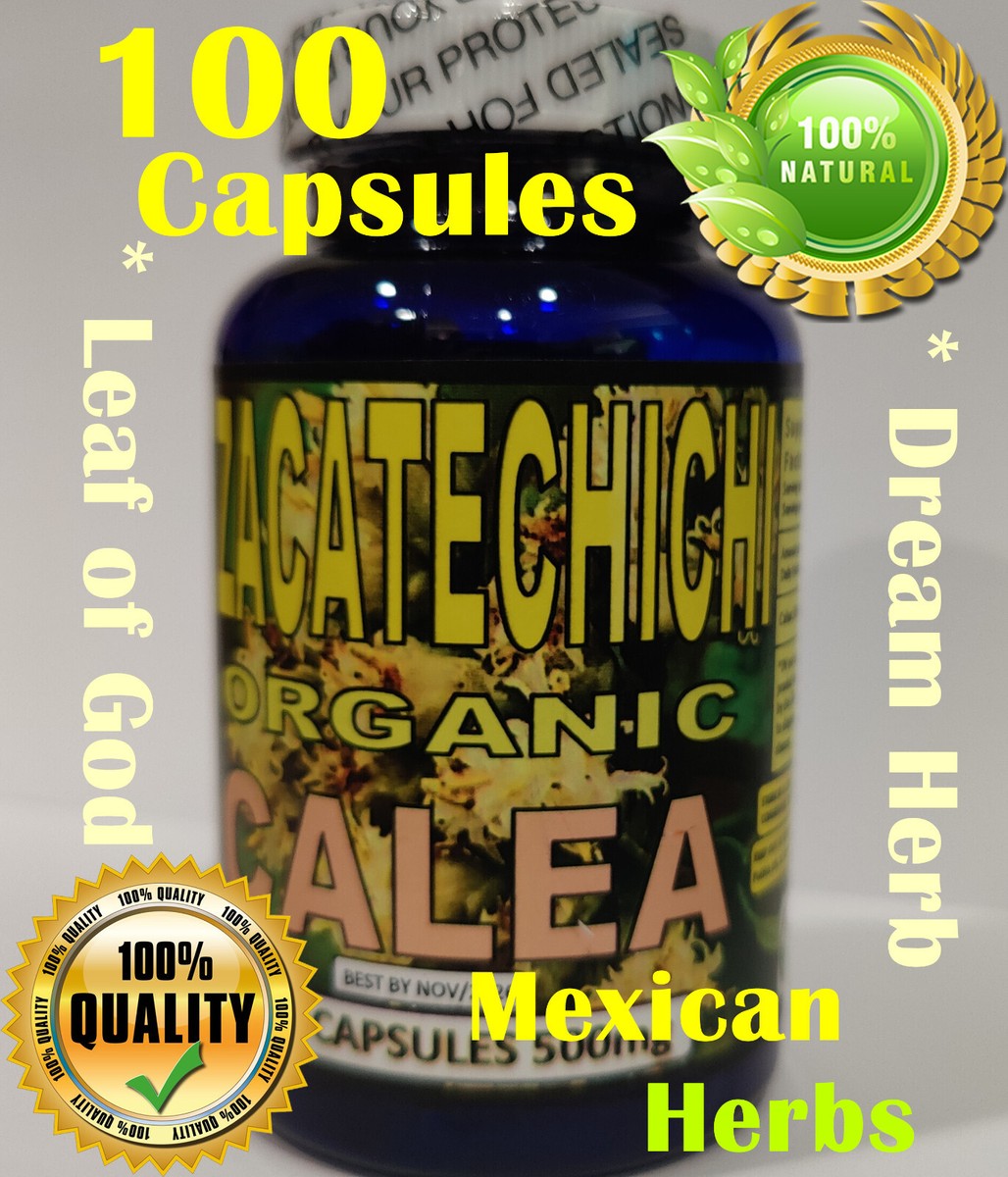 Calea Zacatechichi Mexican Dream Herb Hieba de Los suenos Leaf of