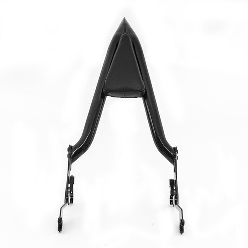 Ajuste para Harley Touring 2009-23 16" respaldo trasero desmontable pasajero barra Sissy - Imagen 11 de 13