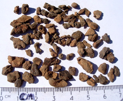 you get all 19.7 grams Gebel Kamil as found Iron meteorites from Egypt with COA