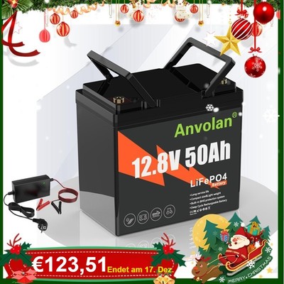 LiFePO4 Akku 50Ah 12V Lithium Batterie BMS Wohnmobil Boote Heim Garten+Ladegerät
