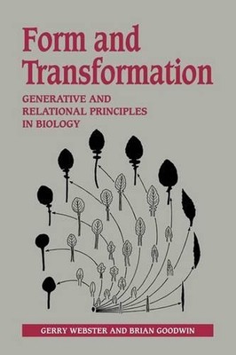 Form and Transformation: Generative and Relational Principles in Biology by Gerr