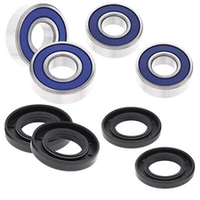 Both Front Wheel Bearing and Seal Kit - D25-1194B - Boss Bearing