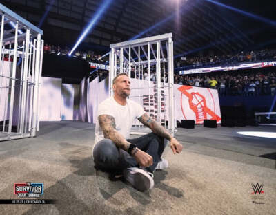 CM Punk Returns at Survivor Series 8