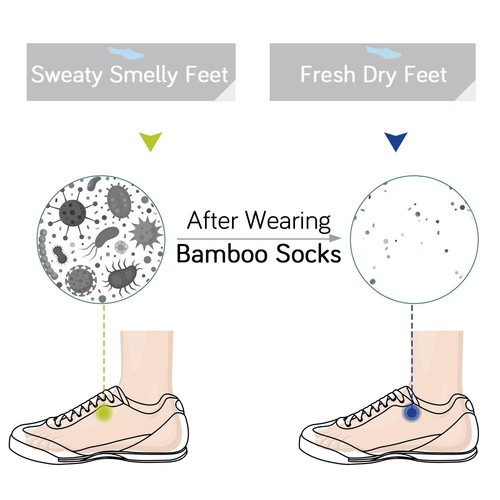 +MD 6 Pairs Bamboo Low Cut Socks for Mens/Womens Liner Cushion Wicking Smell ... - Picture 2 of 7