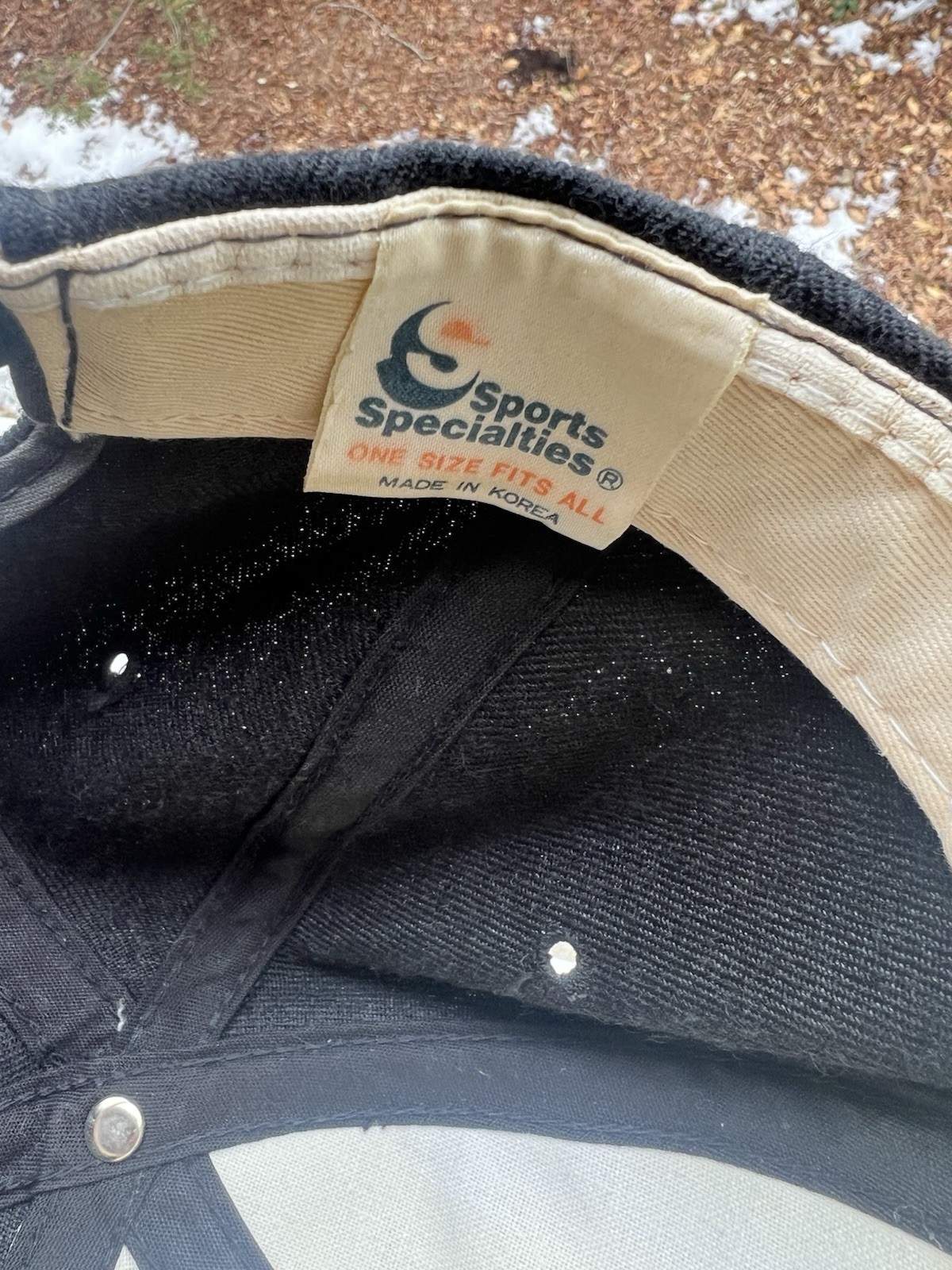 Vintage Wake Forest Single Line Script Sports Spe… - image 7