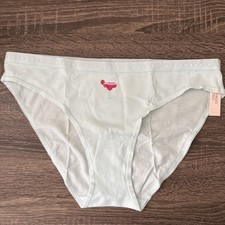 Victoria  s Secret Medium Light Blue Cotton Bikini Panties