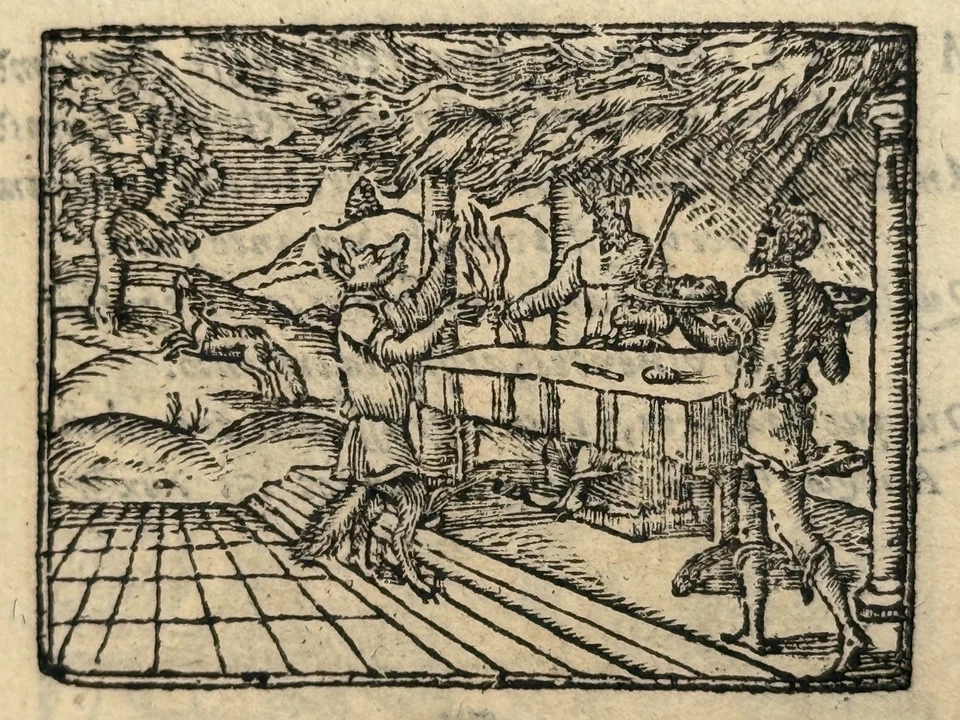 Picta Poesis 1564 Barthelemy Aneau 106 Woodcuts Emblemata EARLY TENNIS DEPICTION - Image 4 of 4
