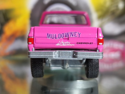 Auto World 1:64 1983 Chevy Silverado Shirley Muldowney - Bild 9 von 11