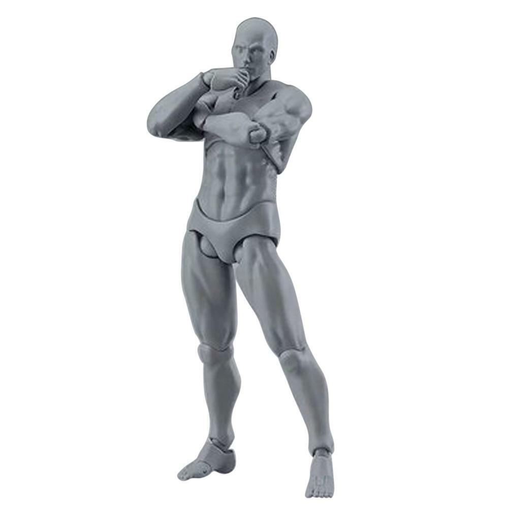 S Human Body Man Woman Figure Doll Mannequin Model Toy