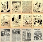 Foto 11 di 12