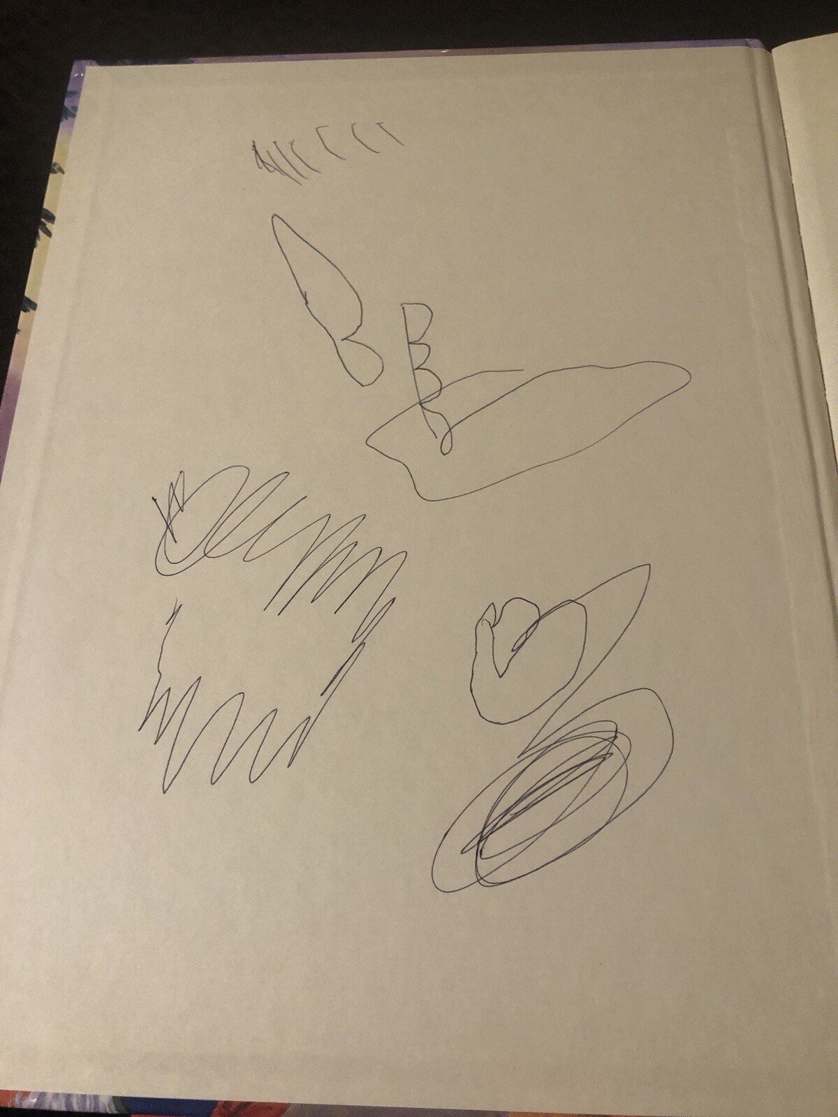 Picture 4 of 4