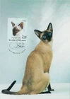 Kitten Siamise Thai Cat Kitten Finland Mint FDC Maxi Card 1995