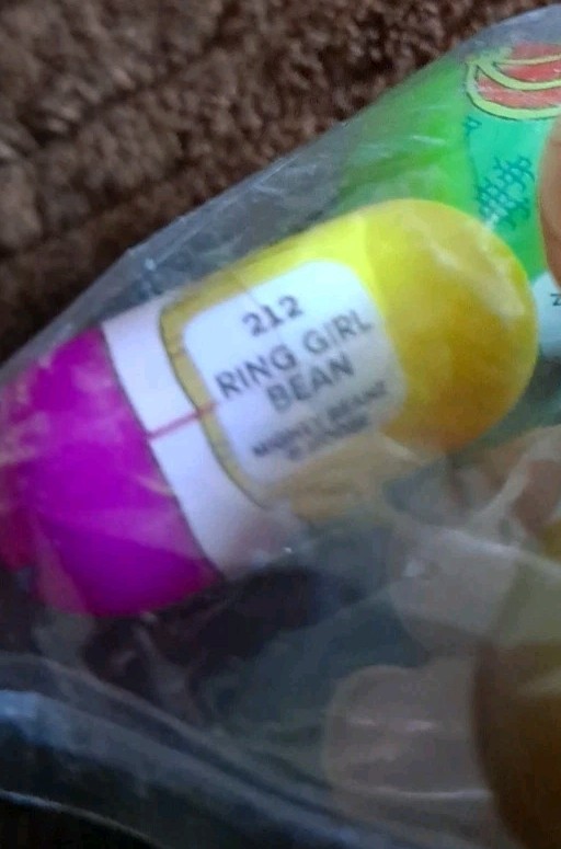 Mighty Beanz Series 4 Mega Edition  FIERCE DRAGON BEAN (247) 2003 New Plus 2