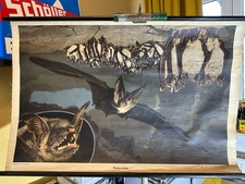 Fledermaus Schulwandkarte Rollkarte Rollbild Lehrtafel Fledermäuse Schulmann