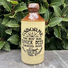 Usborne Ginger Beer