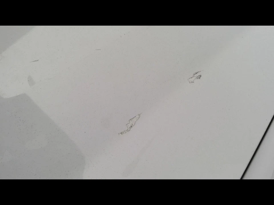 (LOCAL PICKUP ONLY) Hood Fits 09-14 FORD F150 PICKUP 697524 Foto 3 de 4