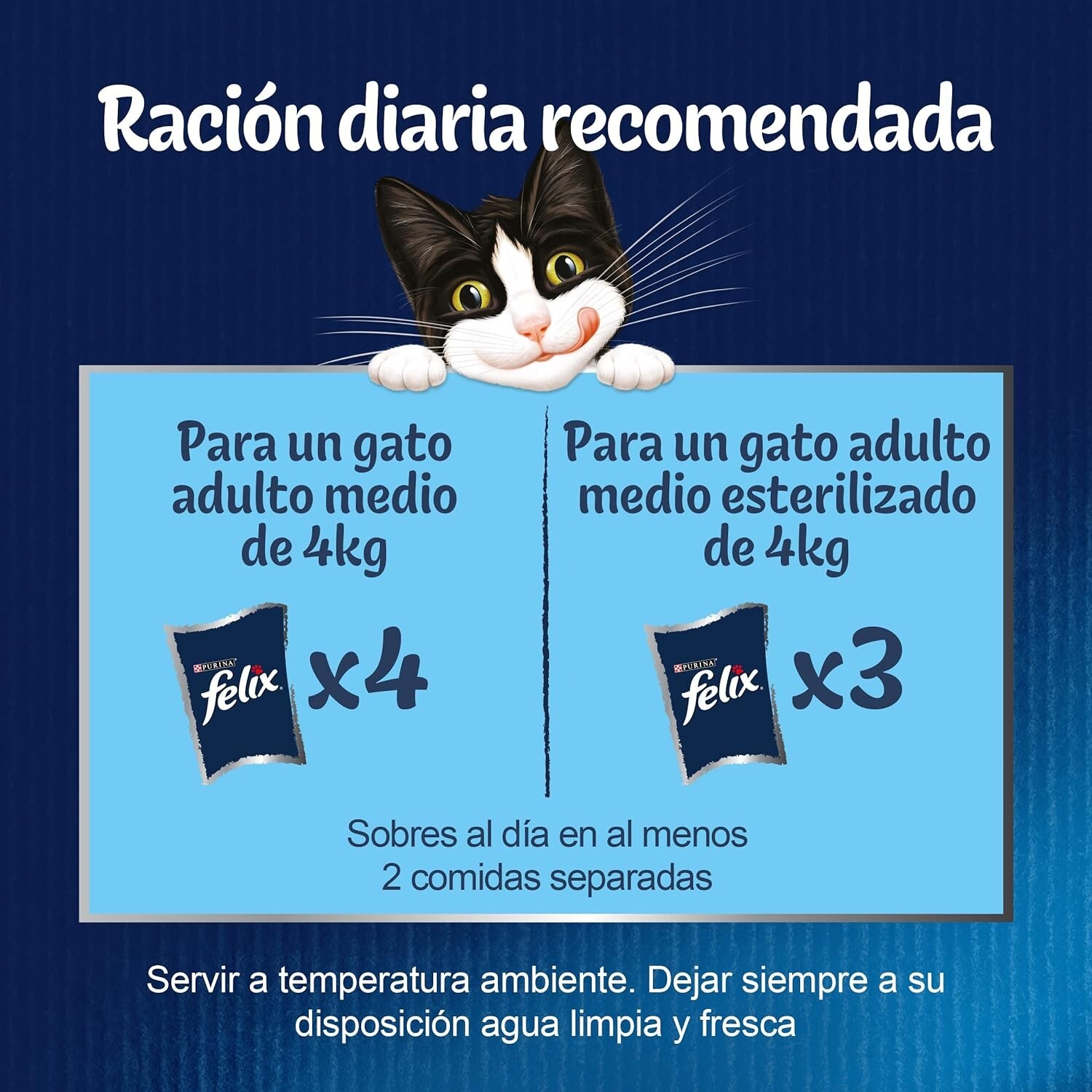 Imagen 3 de 8