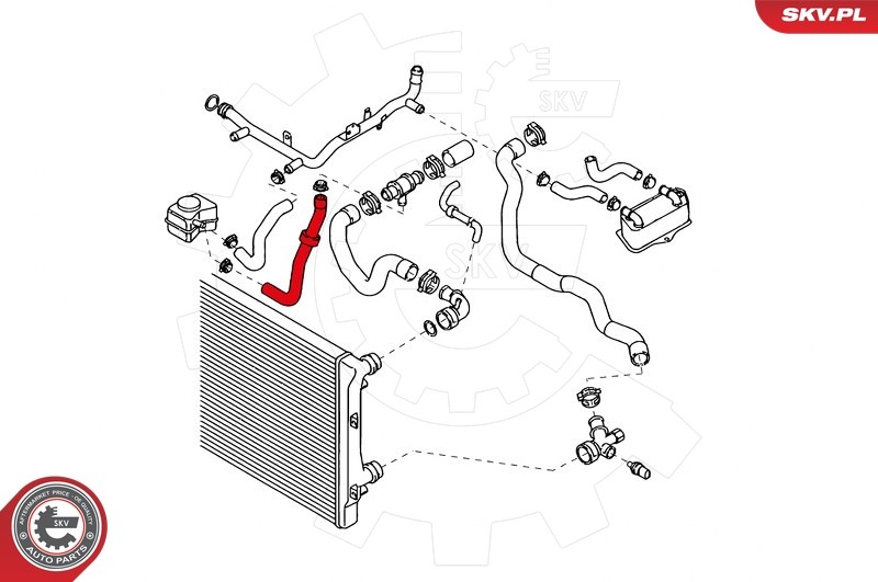 Für SKV GERMANY 24SKV351 RADIATOR HOSE 24SKV351 / #371 AUDI A3 SEAT ALTEA ALTEA