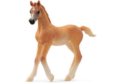 Arab Foal - Schleich
