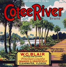 Clearwater Florida Cotee River Orange Citrus Fruit Crate Label Art Print