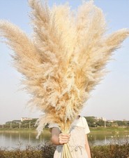 10 Stems 46" inch Dried Pampas Grass Decor Tall, Large 10PCS-46inch, Beige