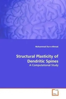 Muhammad Dur-e-Ahmad | Structural Plasticity of Dendritic Spines | Taschenbuch