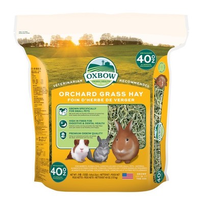 Oxbow Animal Health Orchard Grass Hay - All Natural Grass Hay for Chinchillas,
