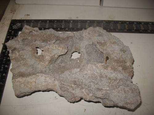 SPIRIT FACE LACE ROCK ALL NATURAL FISH REPTILE AQUARIUMS AQUASCAPING DECORATION - Picture 6 of 10