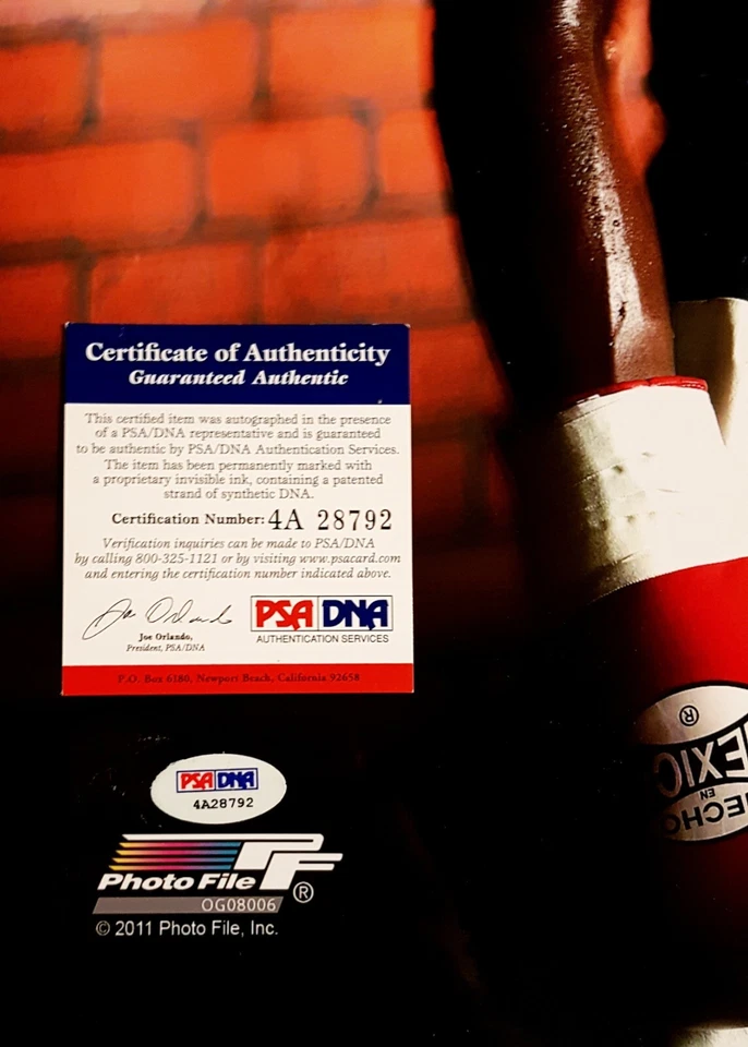 Rare Floyd Mayweather Jr. Signed 16x20 photo, PSA/DNA authentic,  1/1 - Image 4 of 4