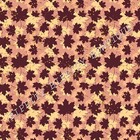 Foto 7 di 8