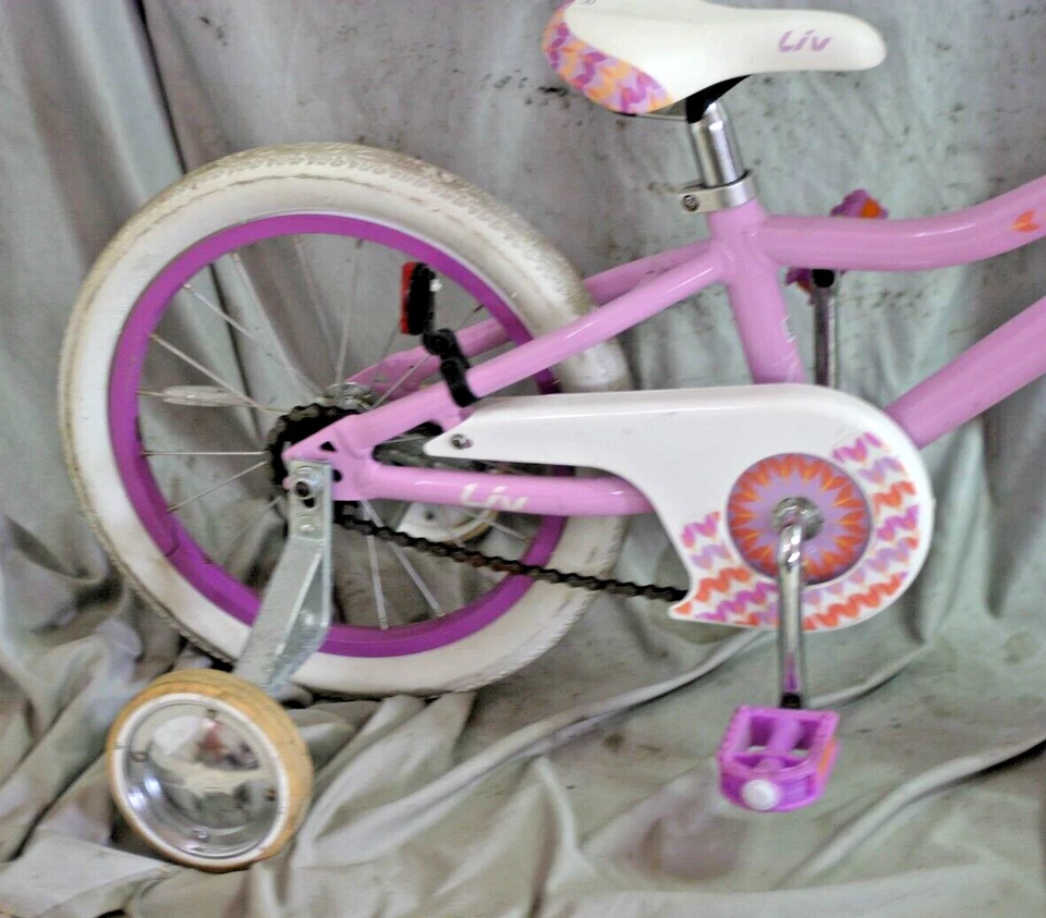 2020 Giant Liv Adore 16" Kids Bike Single Speed SS Coaster Brake Girls X Small!! - image 2 of 4